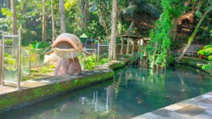 Kampung Wisata Taman Lele Semarang