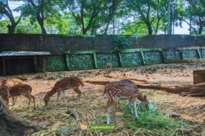 Rekomendasi Wisata Semarang untuk Keluarga