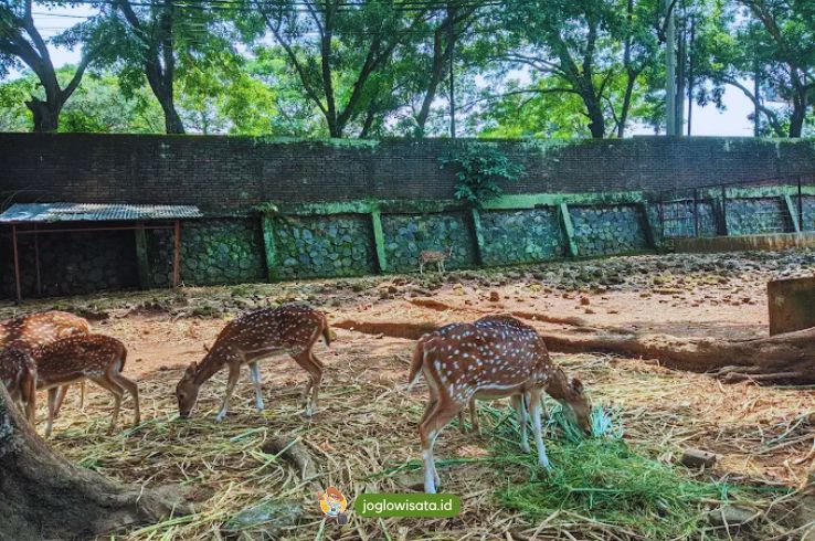 Rekomendasi Wisata Semarang untuk Keluarga