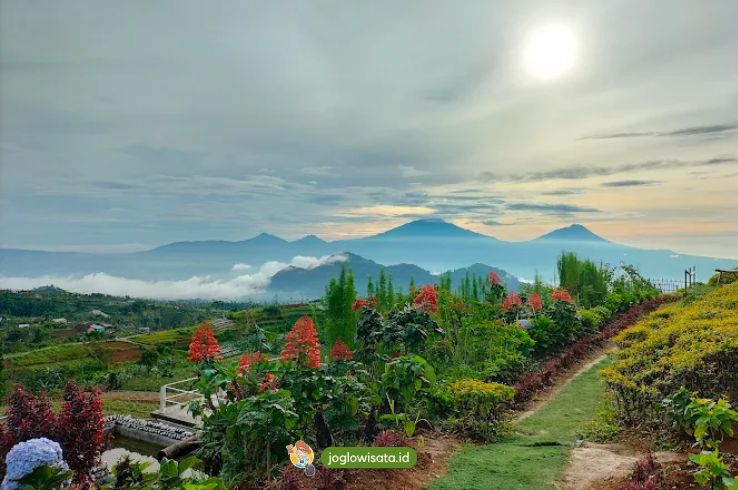 Silancur Highland Wisata Alam Terindah di Kota Magelang